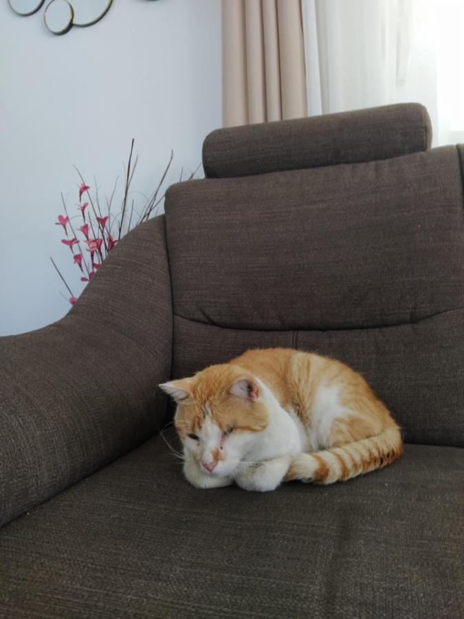 Apartment Juric Trogir Ngoại thất bức ảnh
